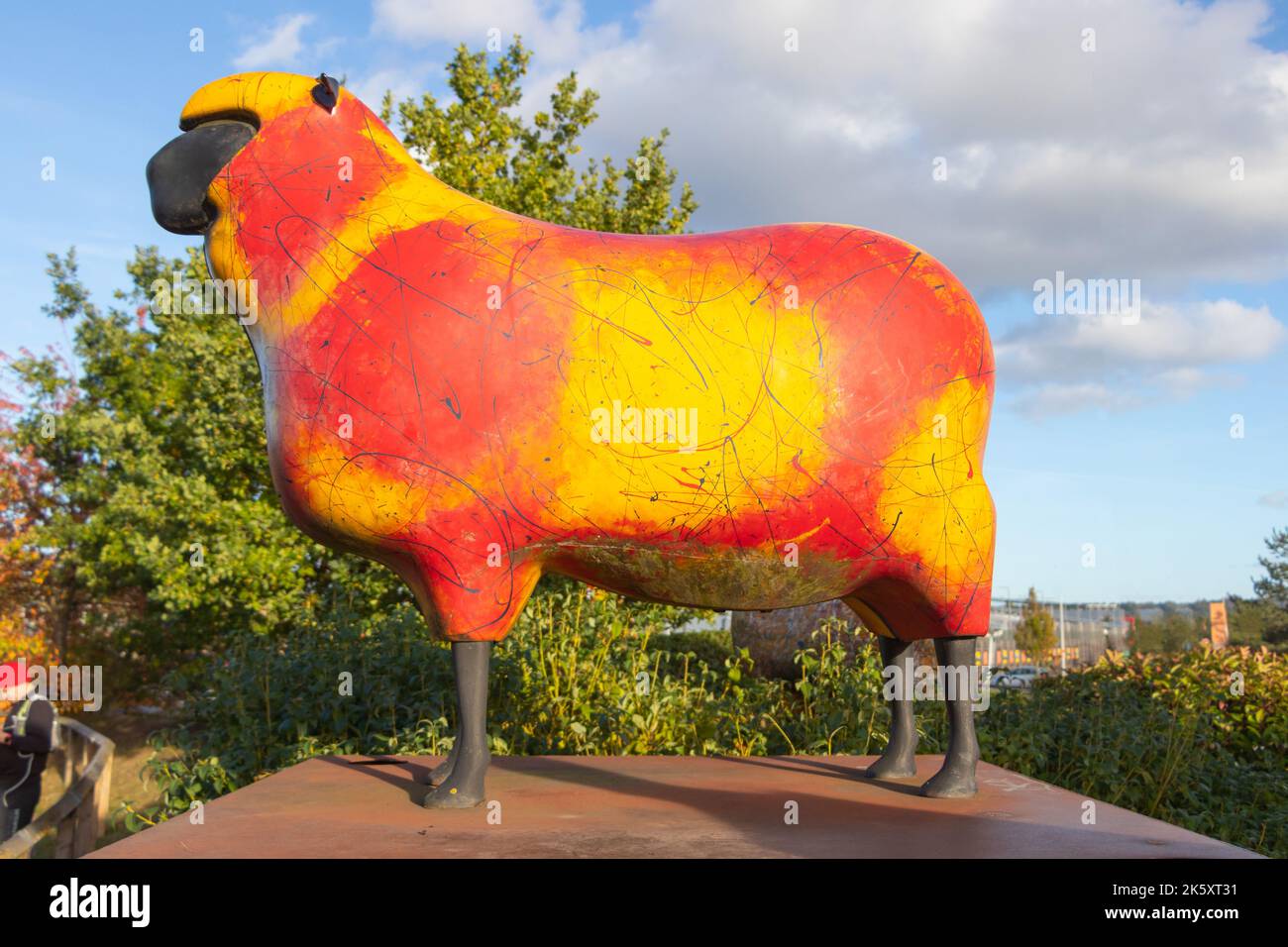 Recycled livestock colourful sheep artwork sculpture by Bristol-based Cod  Steaks on site of Shrewsbury Livestock Market now a Tesco superstore in  Stock Photo - Alamy