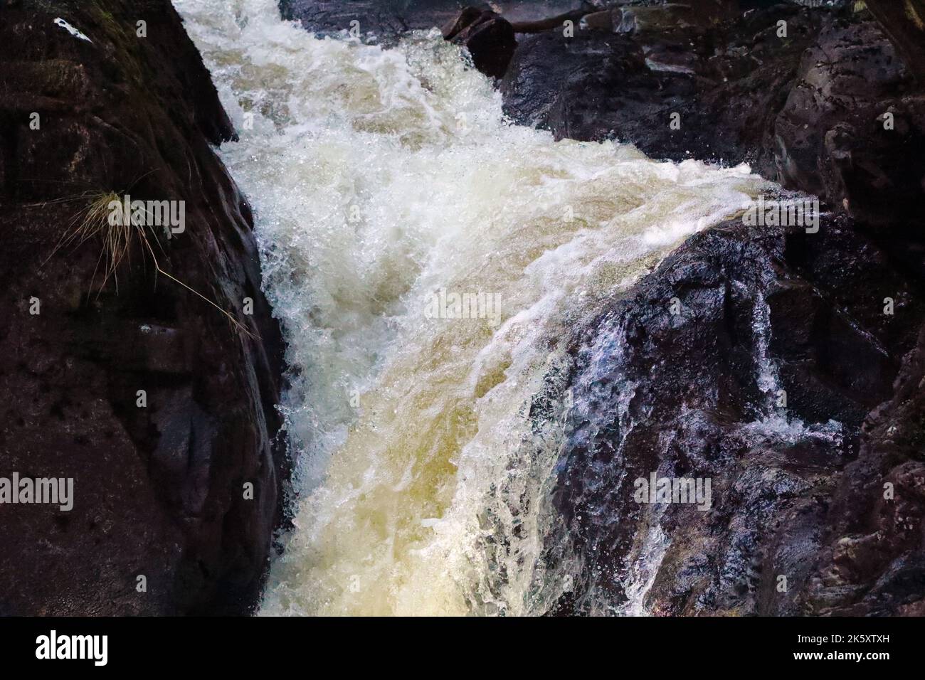 A beautiful waterfall in a forest Stock Photo - Alamy