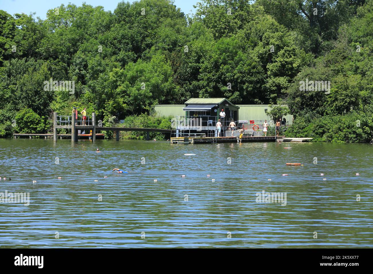 Hampstead pond men's hi-res stock photography and images - Alamy