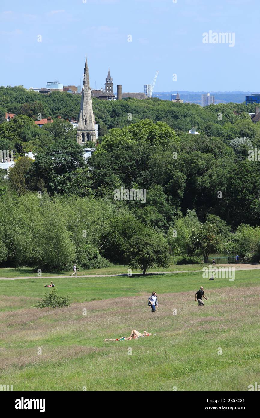 Hampstead Heath on a hot, summer's day, in north London, UK Stock Photo