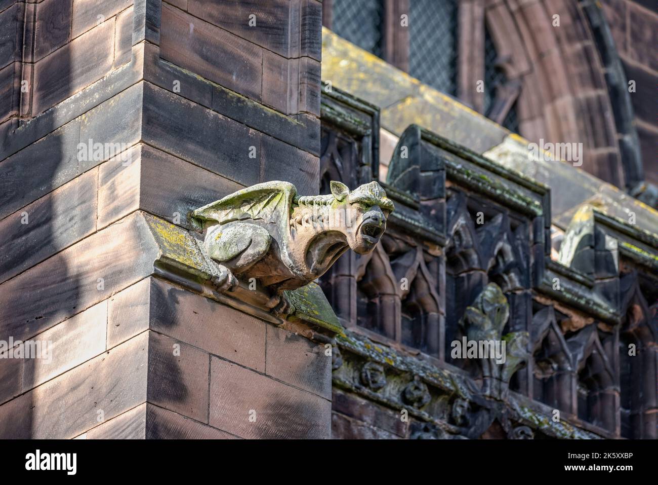 Close up of a grotesque gargoyle on the outside of Chester Cathedral, Chester, Cheshire, UK on 6 October 2022 Stock Photo