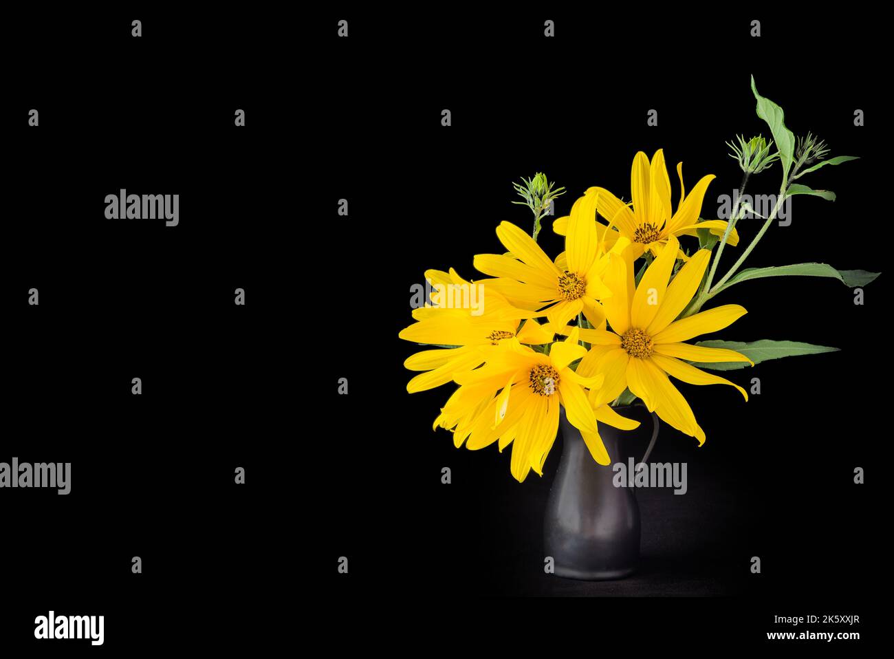 A sunflower in a vase on a black background Stock Photo - Alamy