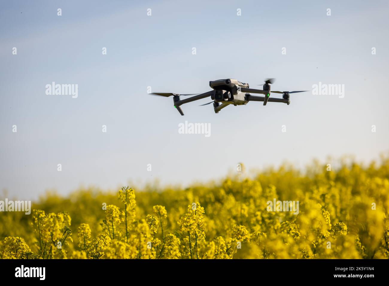 Drone Capturing Agriculture Data for Farming Overflying Crops in a Survey Stock Photo