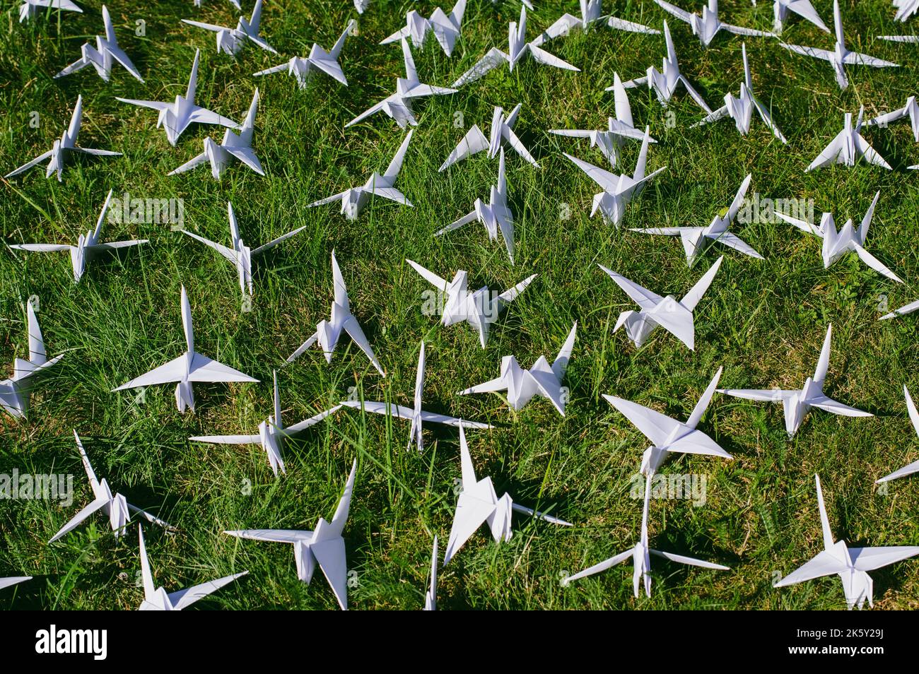 Japanese folded Origami cranes on fresh grass. Hundreds handmade paper birds on green field with