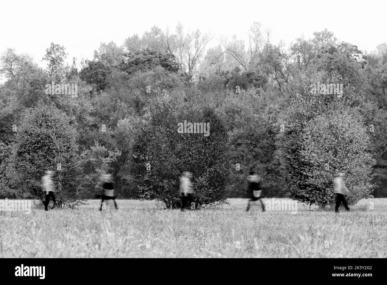 Clones strolling in a park Stock Photo