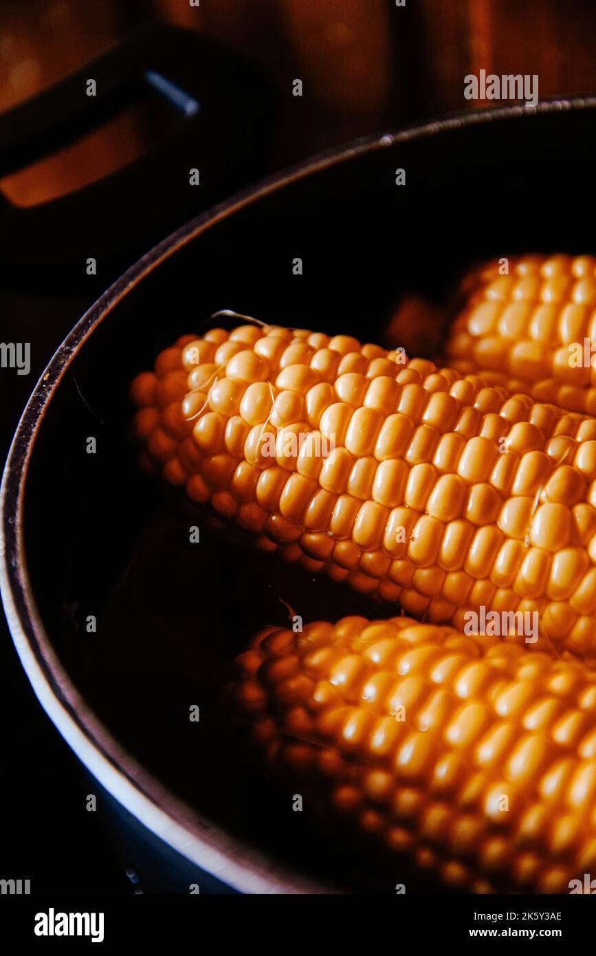 Orange juicy corn is boiled in water with salt. Corn in boiling water
