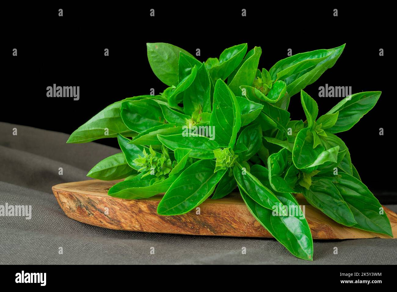 Mediterranean diet: fresh basil on dark background Stock Photo