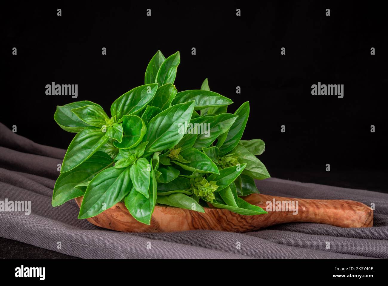 Mediterranean diet: fresh basil on dark background Stock Photo