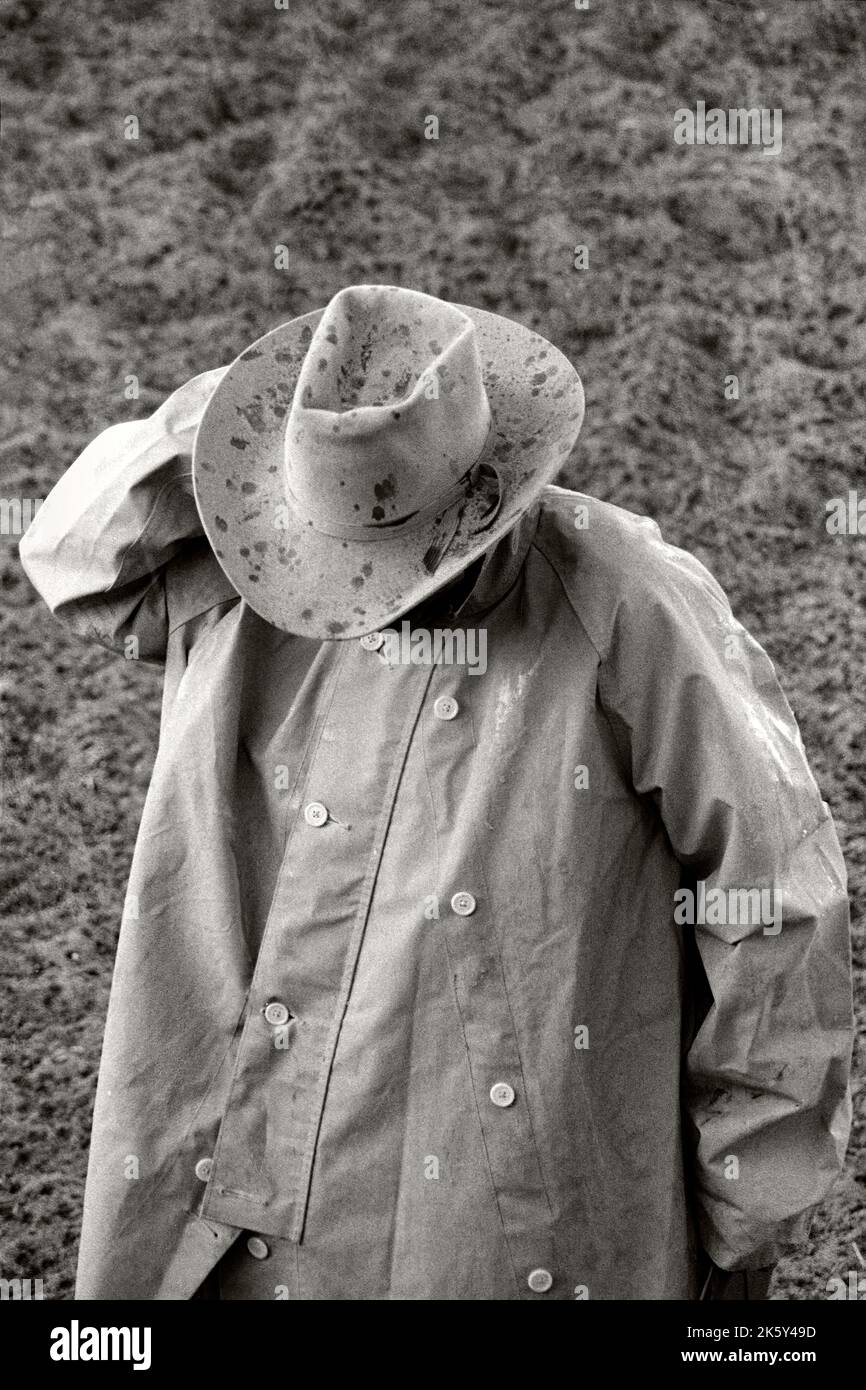 Infield judge at the Water Valley Rodeo,1982, Alberta Canada Stock Photo