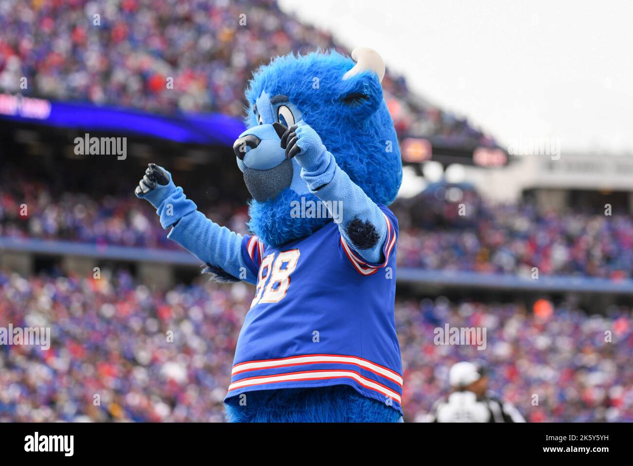 Orchard Park, New York, USA. 9th Oct, 2022. October 9th, 2022 Buffalo