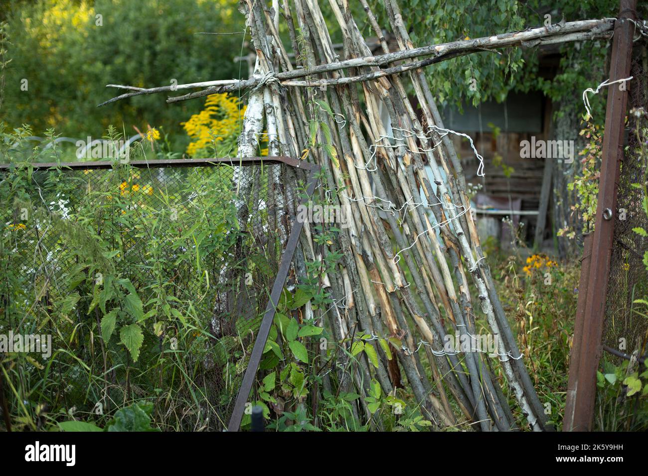 Old fence made of sticks. Branches as fence. Details of countryside