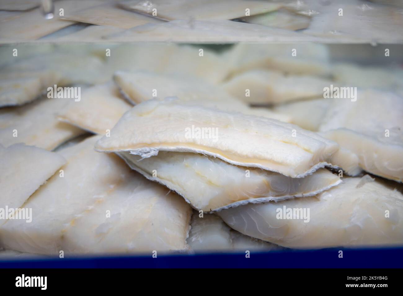 White salted and dried bacalao codfish in watertank, traditional