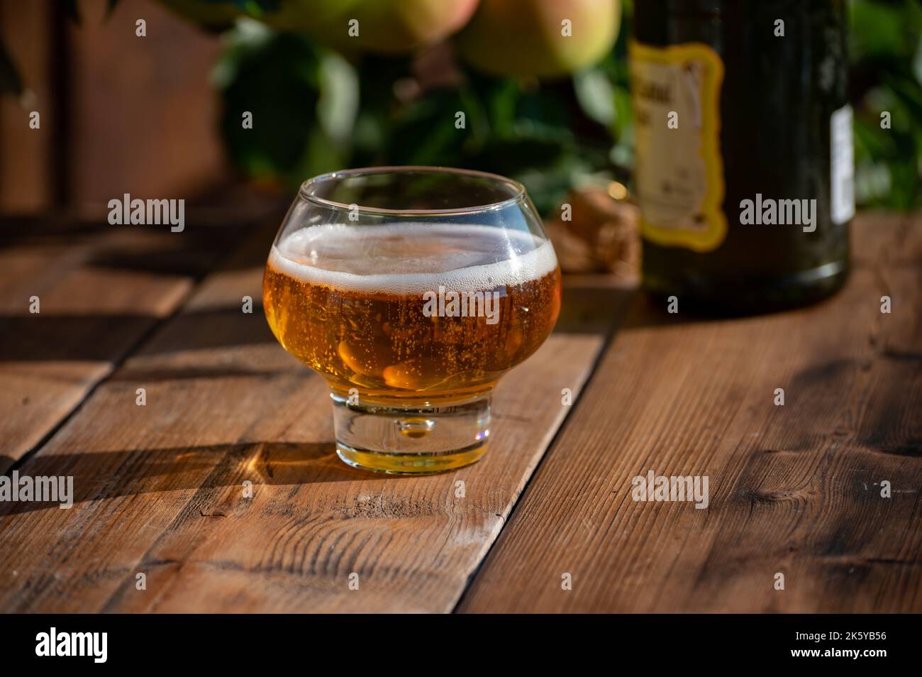 Tasting of fresh apple cider brut produced on organic farm from bio