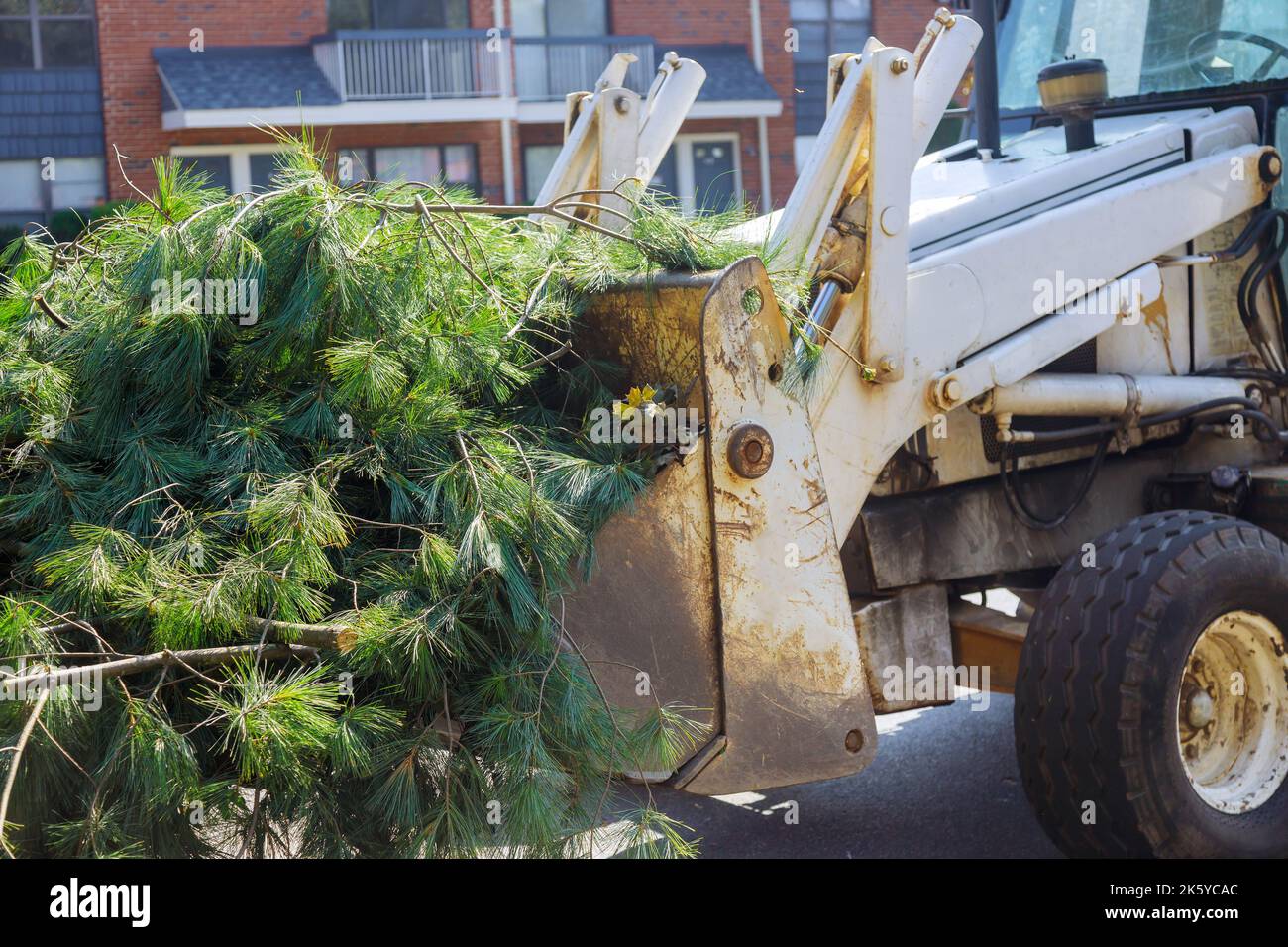 Tractor remove broken branches from trees after hurricane Stock Photo