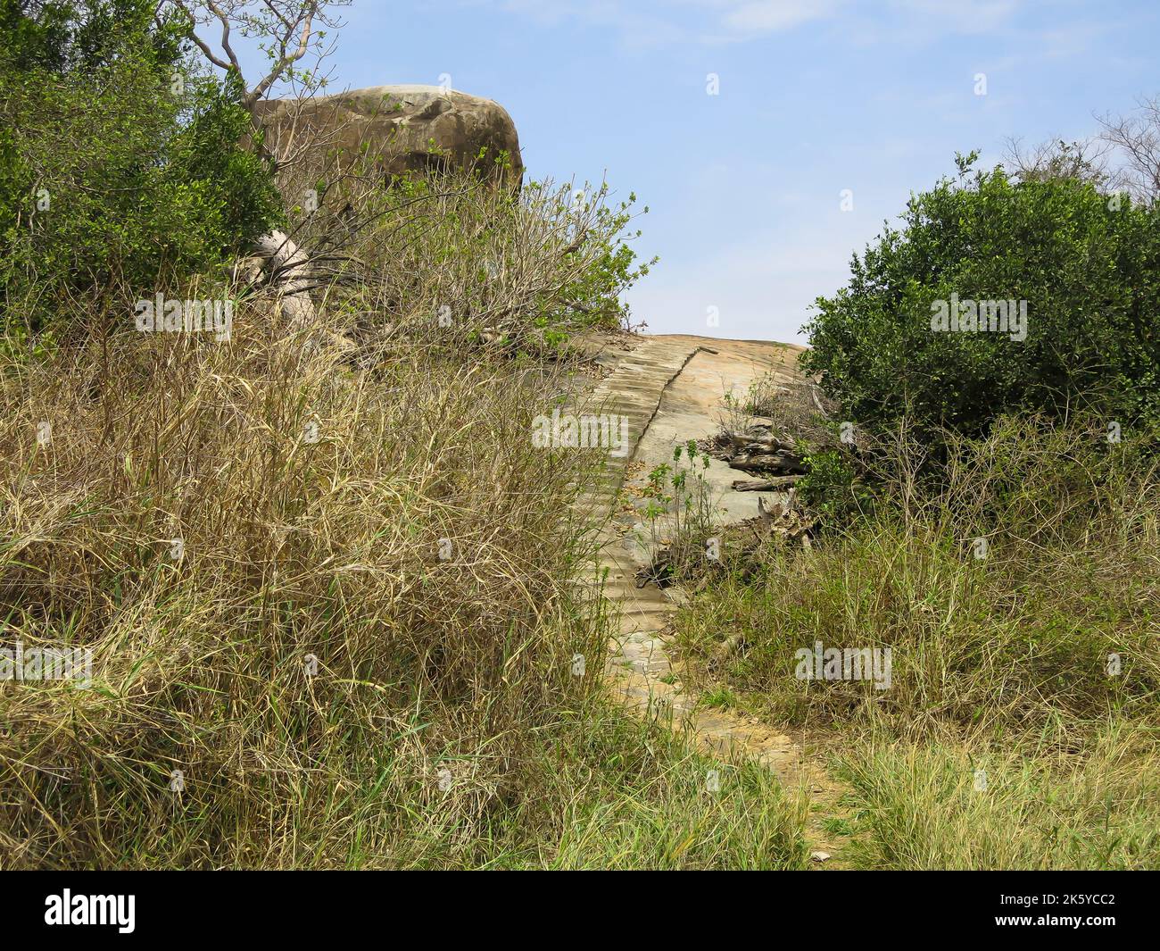 Kopje (Individual Rock Group) in the Serengeti National Park, Tanzania ...