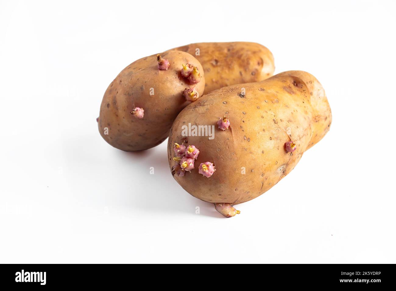 Vegetable food potato potato sprout hires stock photography and images