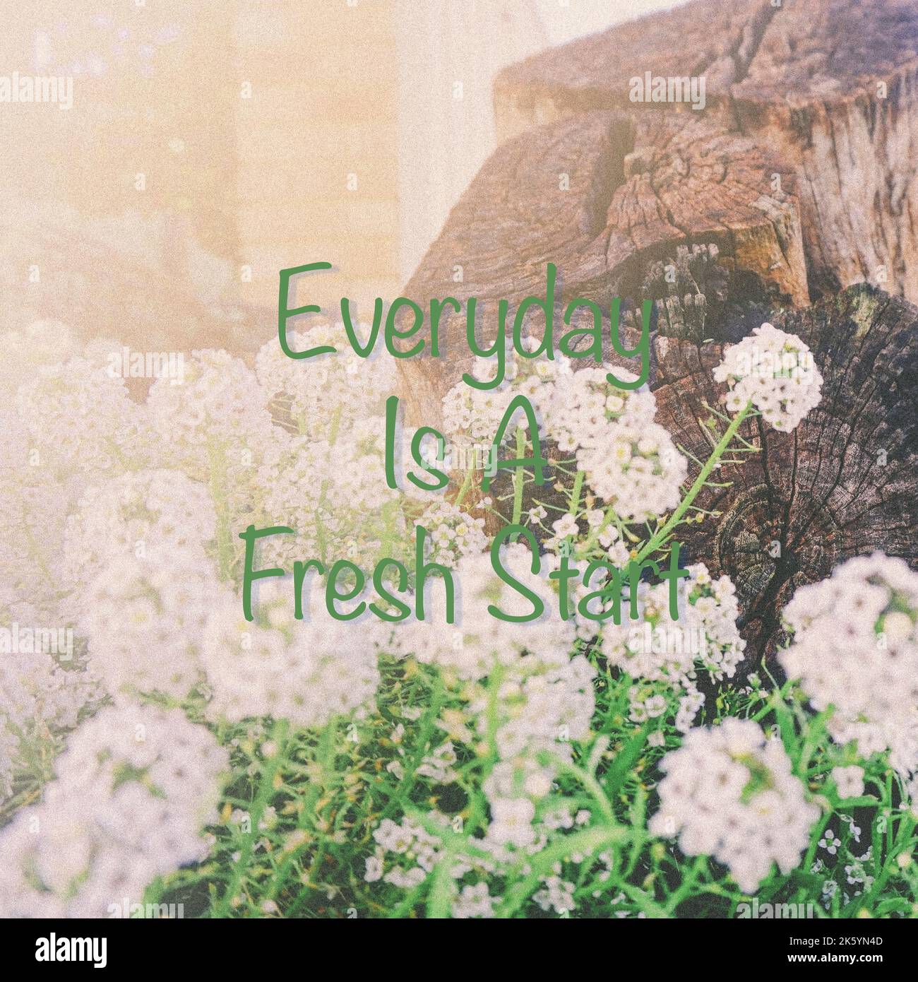 My Image 23