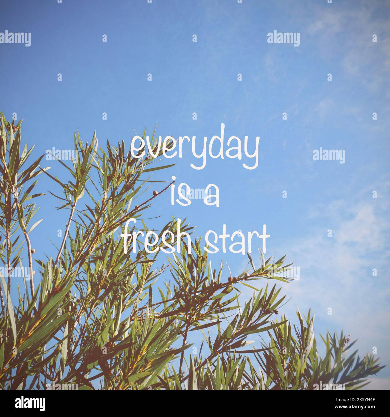 Inspirational quotes “ Everyday Is a Fresh Start “ on beautiful garden background Stock Photo
