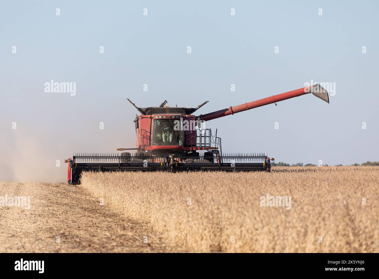 A Case IH combine harvesting soybeans in Warren County; Illinois Stock