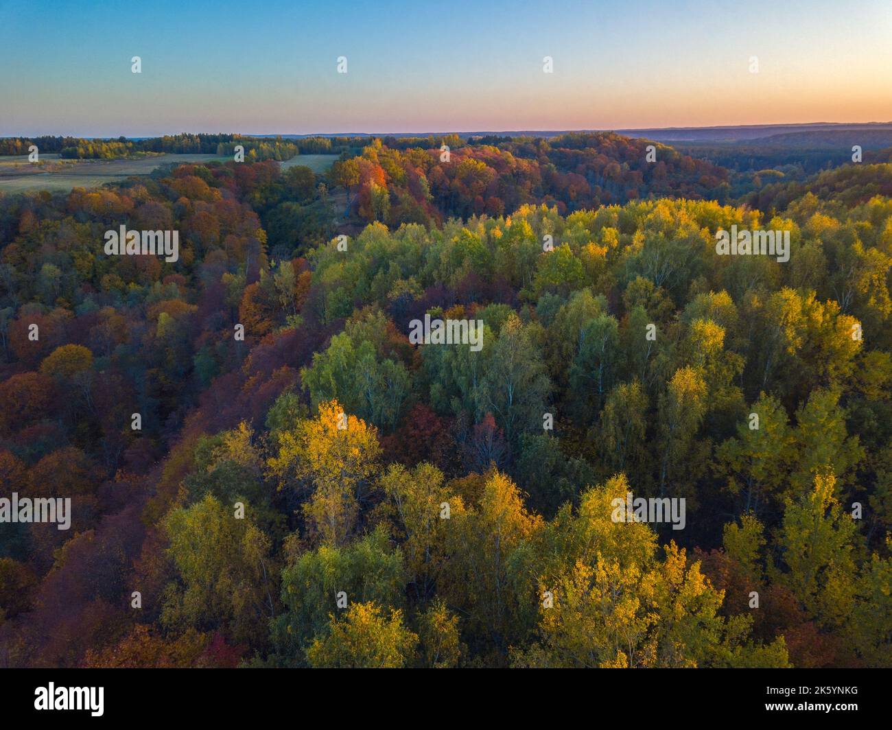 Autumn landscape view with golden color trees Stock Photo - Alamy