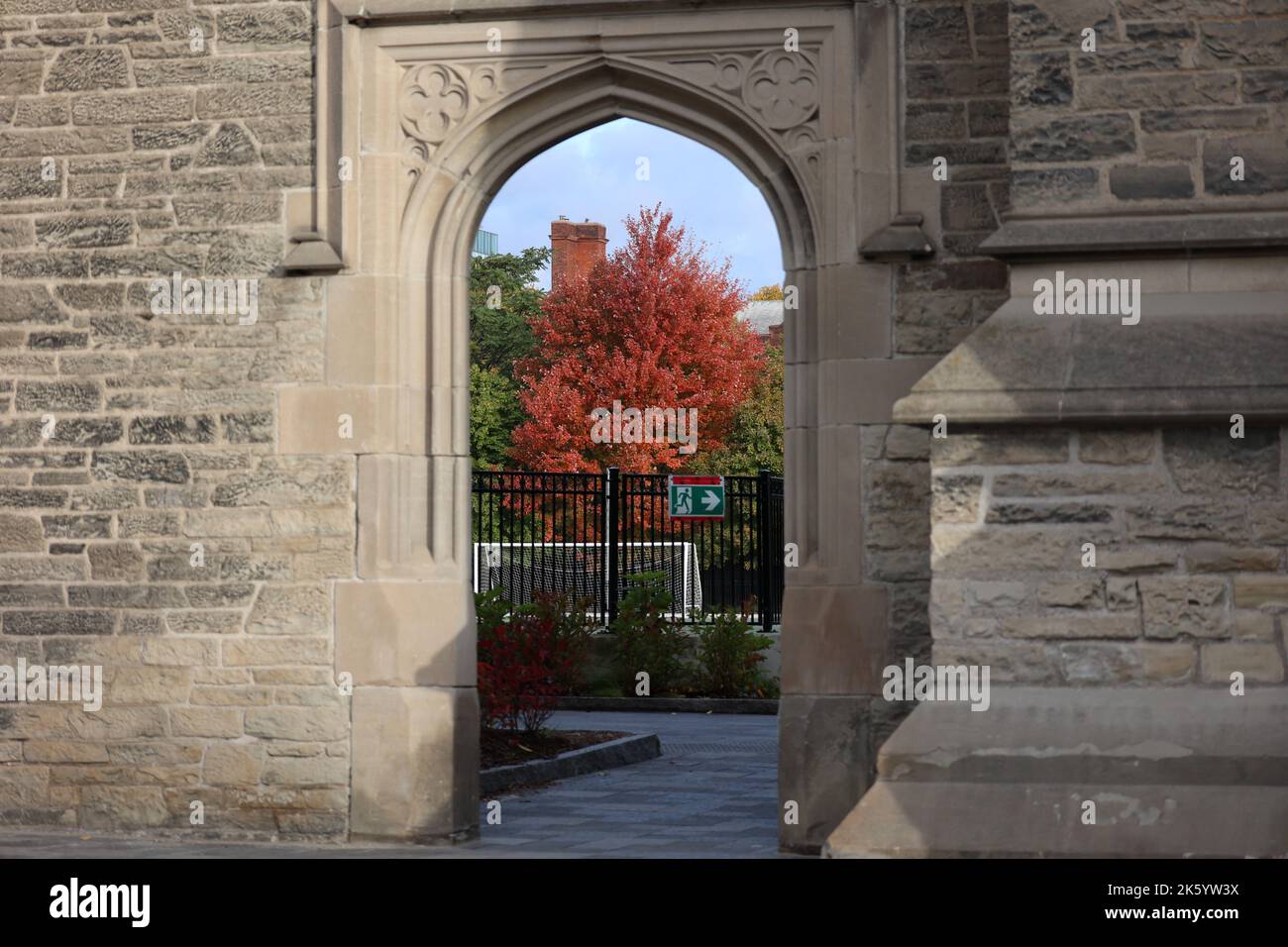 A fall tree blazing in orange is framed thru a stone archway Stock Photo