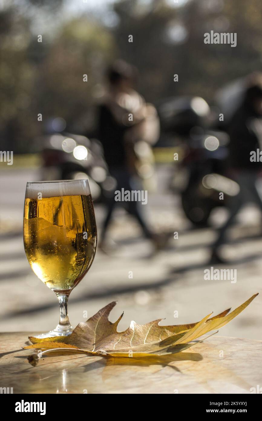 Takig a beer in retiro park Madrid Stock Photo