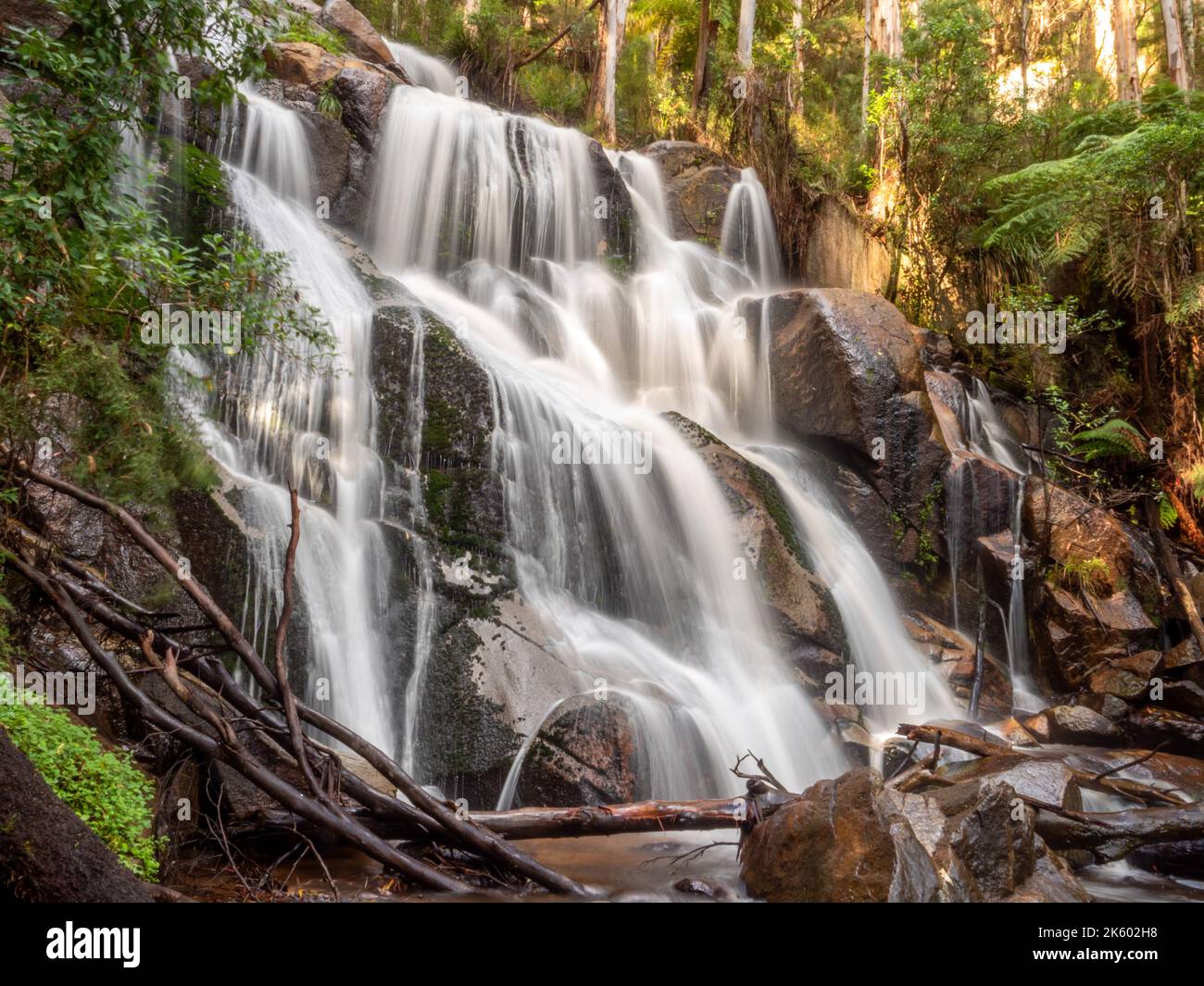 Toorongo Falls, Victoria, Australia Stock Photo