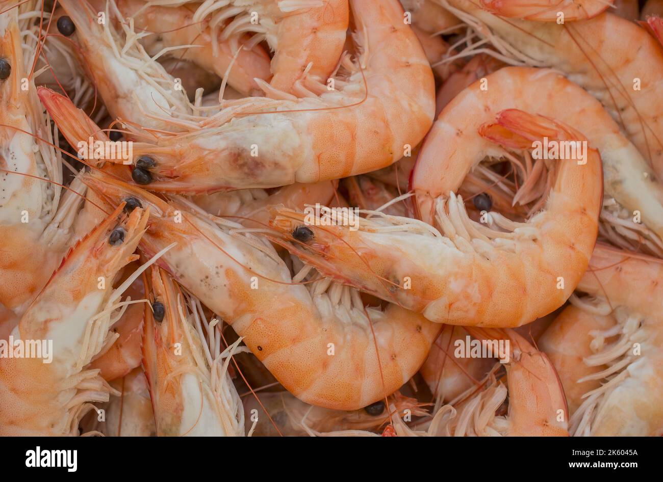 A background of fresh prawns for sale at a market Stock Photo Alamy