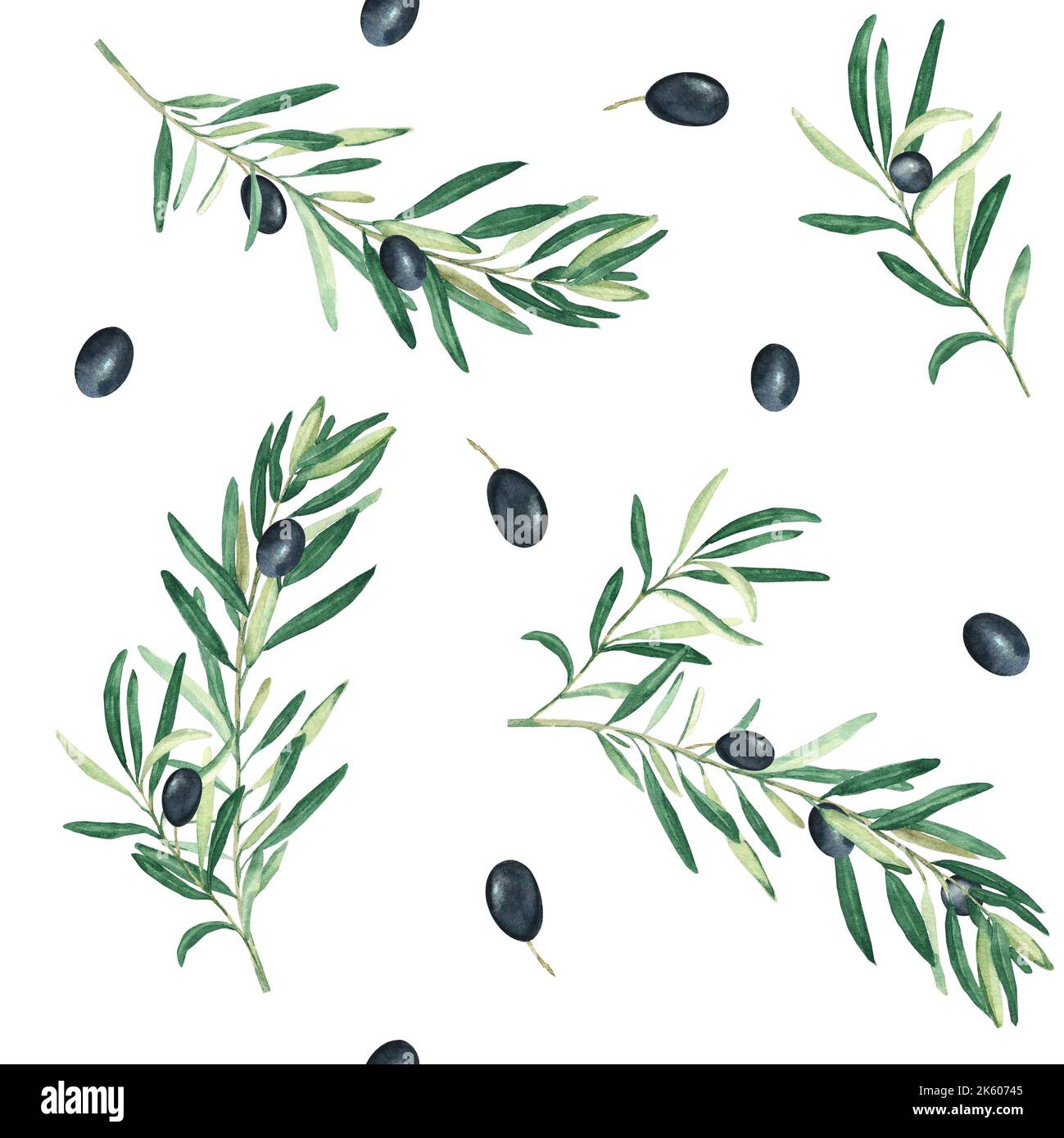 Watercolor seamless pattern with branches of black olives on a white ...