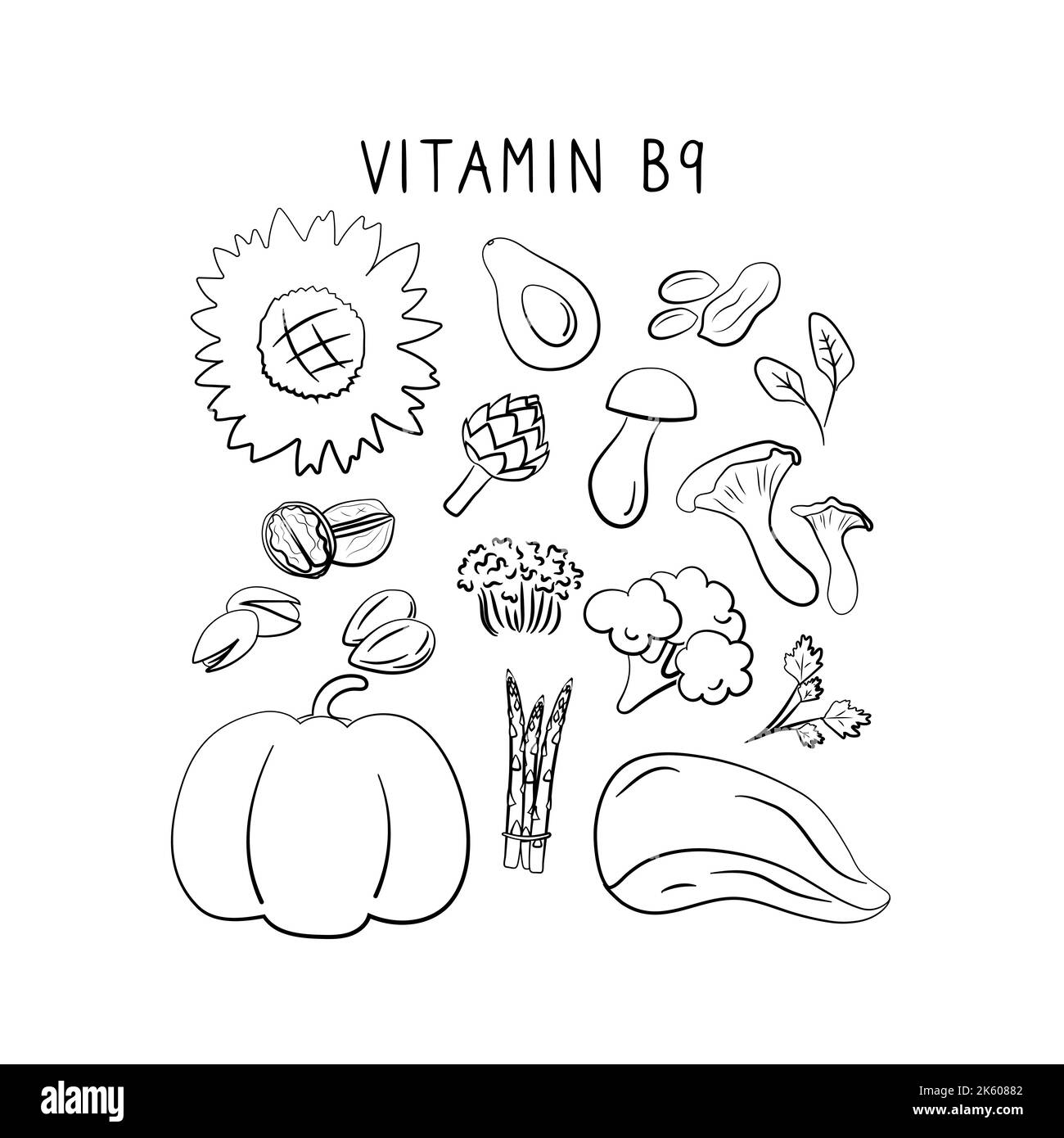 Vitamin B9 folic acid. Groups of healthy products containing vitamins. Set of fruits, vegetables, meats, fish and dairy Stock Vector