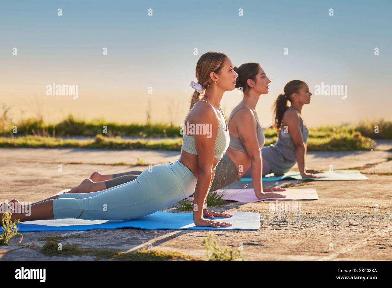 Full length yoga women in upwards facing dog pose for outdoor practice in remote nature. Diverse group of serious active friends using mat, balancing Stock Photo