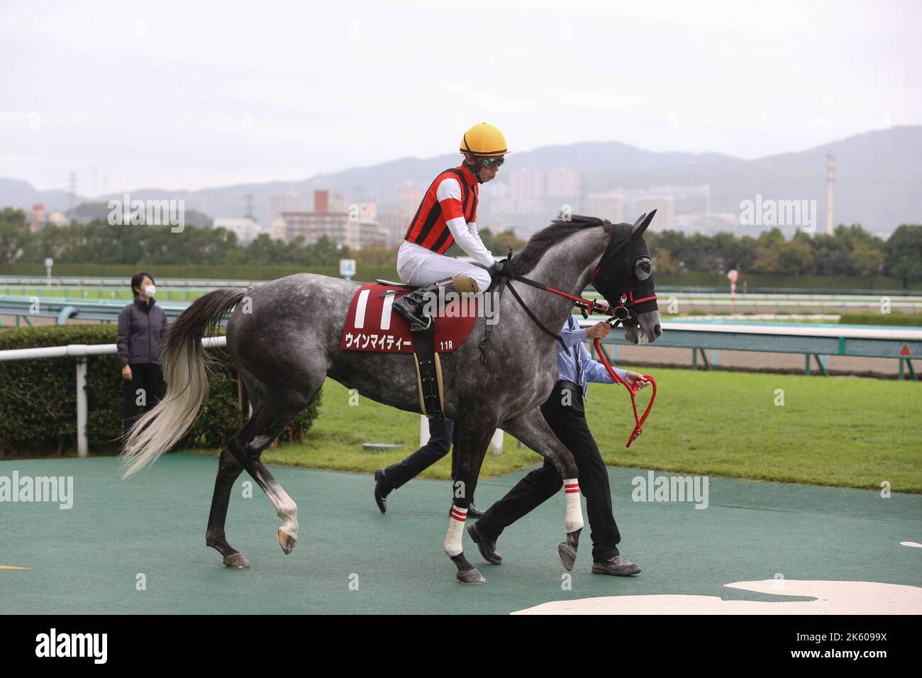 Win Mighty (Ryuji Wada), OCROBER 10, 2022 - Horse Racing