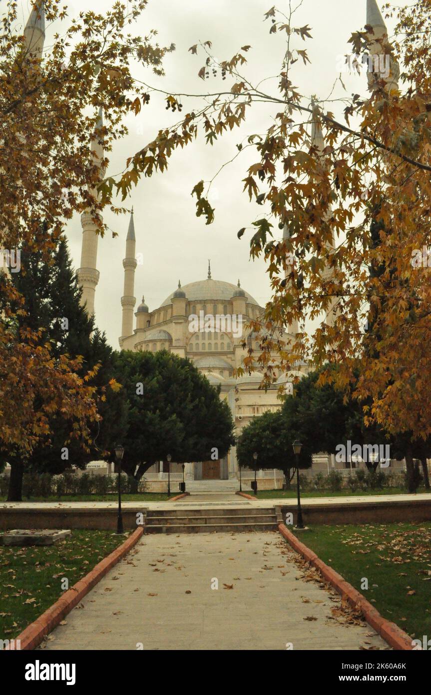 Adana, Sabanci Central Mosque view through yellowed leaves. Vertical photo of mosque in front of gray sky. Islamic places of worship. Stock Photo
