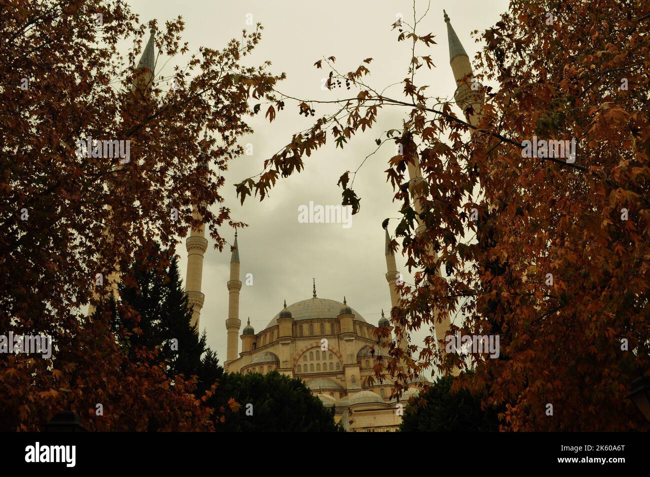 Adana Central Sabanci Mosque, Mosque seen from within the frame among the dried leaves Adana Turkey. House of worship idea concept. No people. Stock Photo
