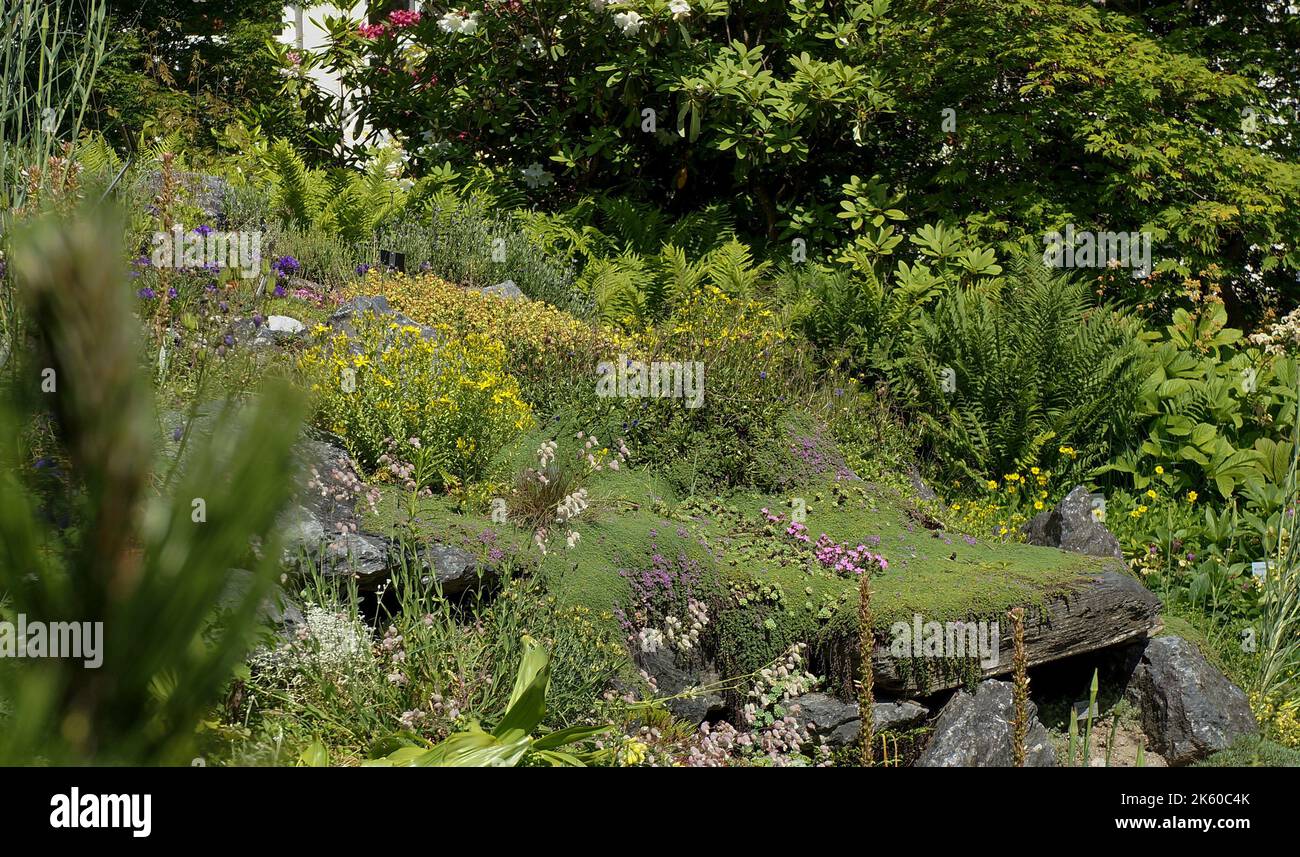 Innsbruck botanic gardens Stock Photo Alamy