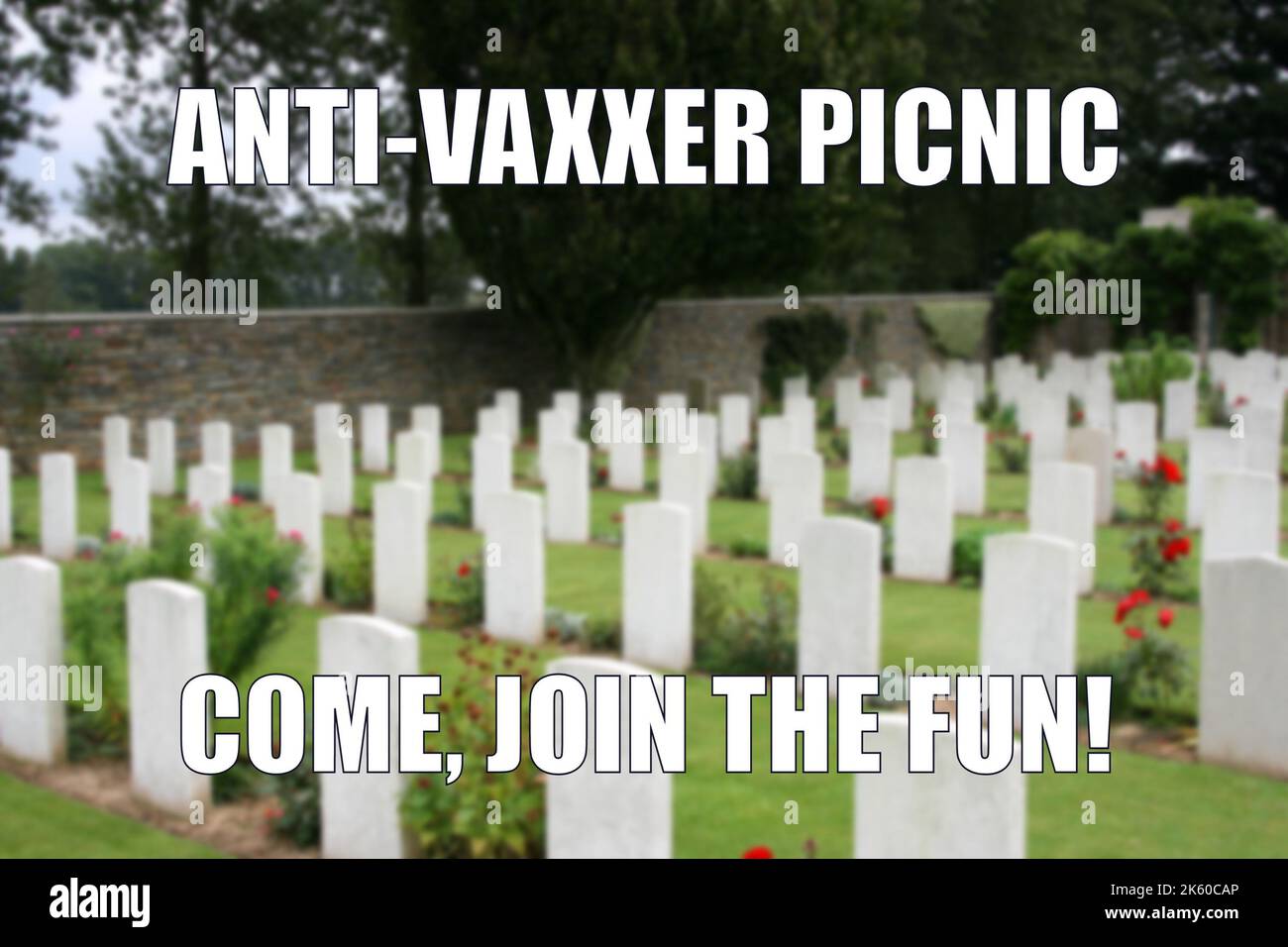 Anti-vaxxer cemetery dark humor funny meme for social media sharing. Black humor about vaccine scepticism and vaccination denial. Stock Photo