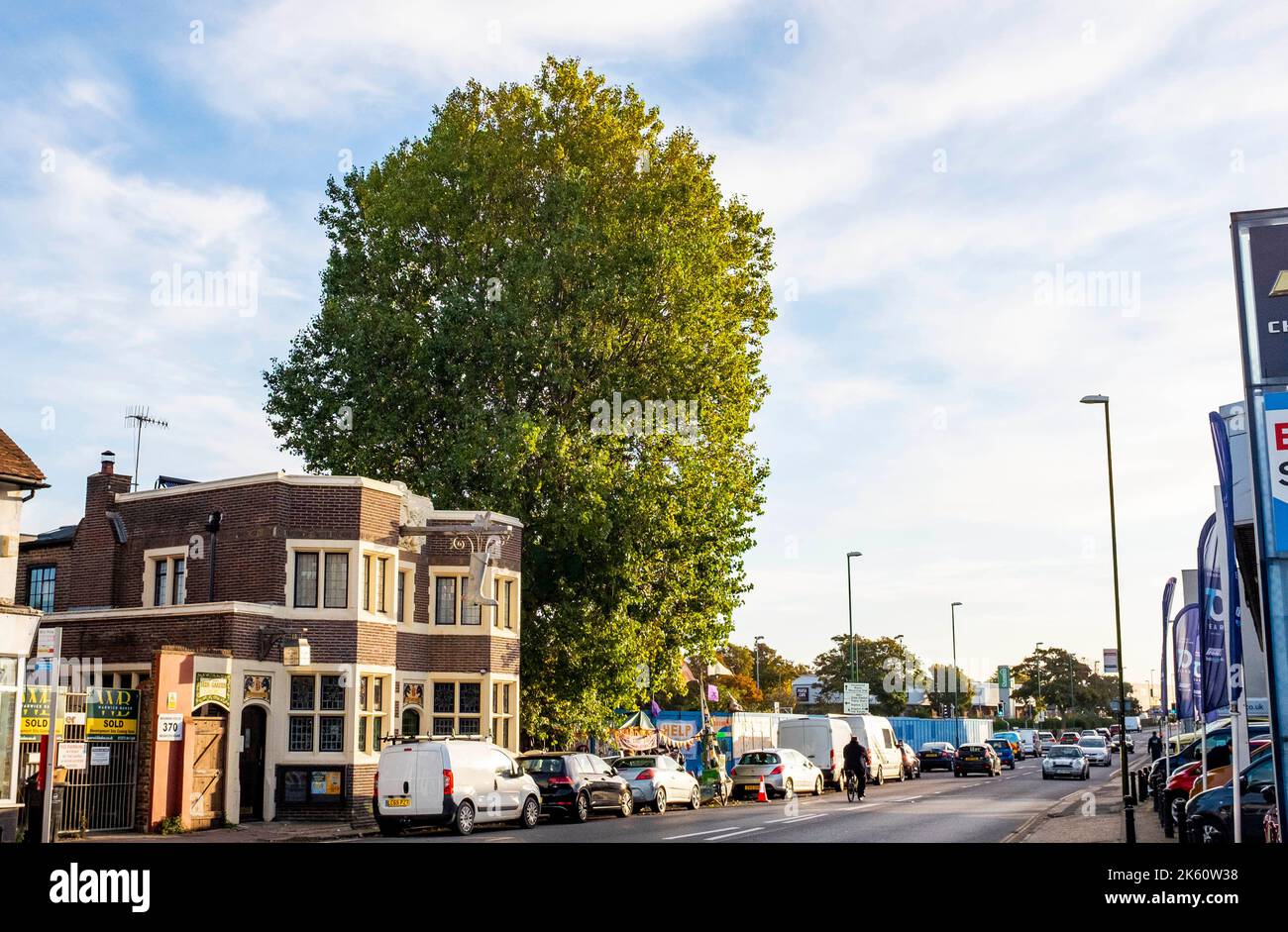 Brighton UK 11th October 2022 - Campaigners known as the Shoreham Poplar Front are trying to save a well known poplar tree in Shoreham-by-sea near Brighton from being cut down by developers and Adur District Council to make way for housing . : Credit Simon Dack / Alamy Live News Stock Photo