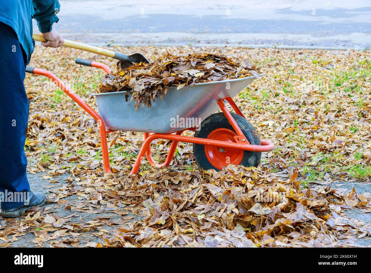 Wheelbarrow for yard work hi res stock photography and images Alamy