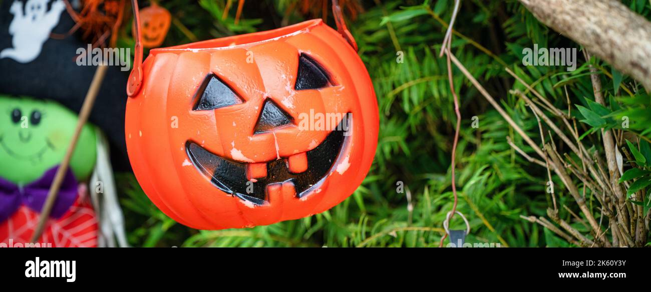 Cute Halloween decorations hanging on a tree in the forest to celebrate