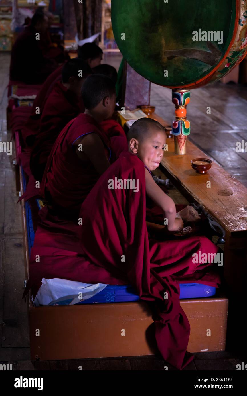 A young monk with a drum at Thikse Monastery (Gompa) during morning puja, Ladakh, India Stock Photo
