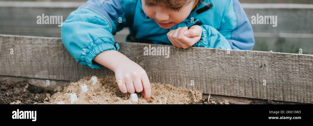 spring planting seeding in farm garden. little six year old kid boy farmer gardener plants and sow vegetable seeds in soil in bed. gardening and begin Stock Photo