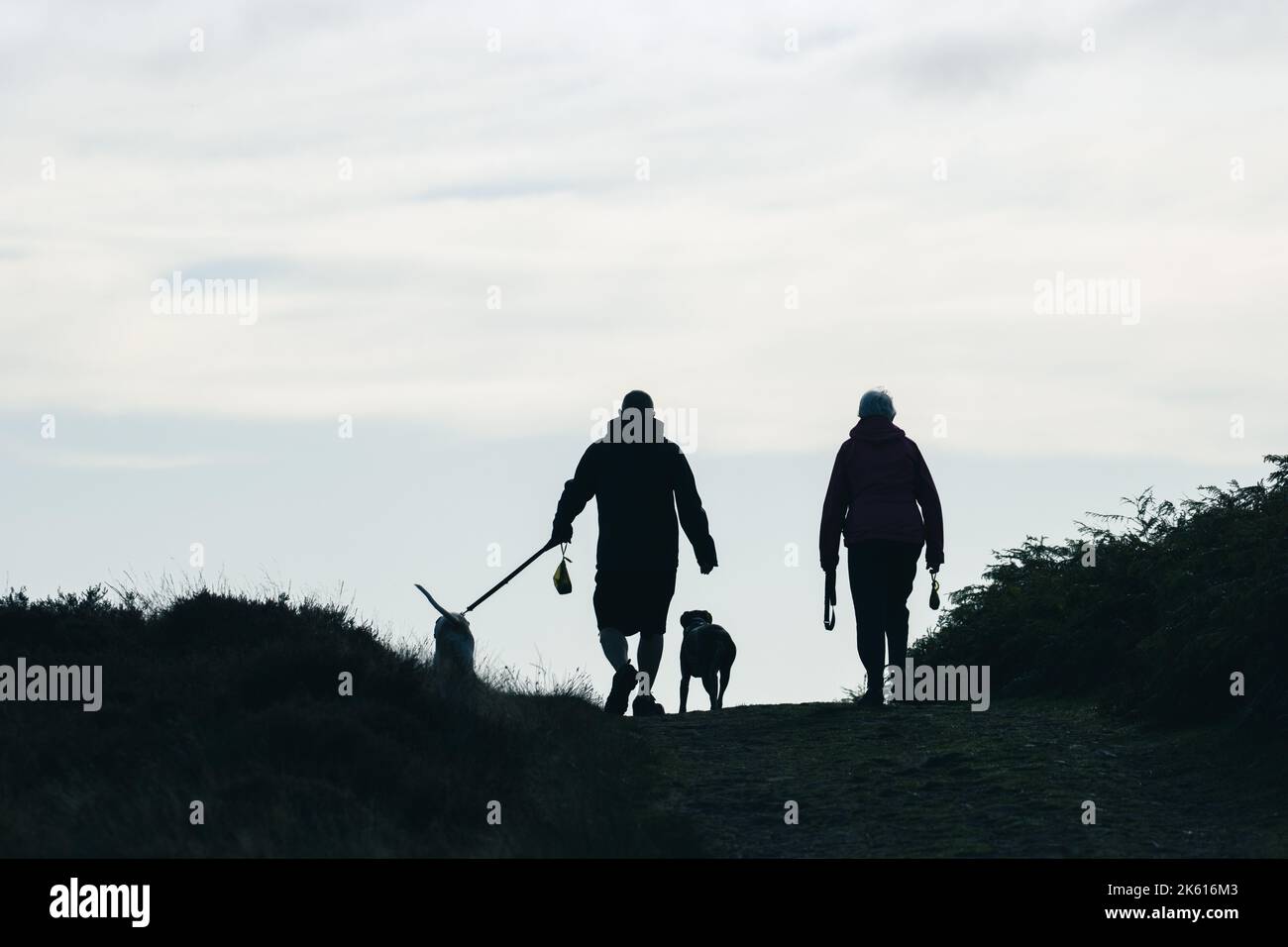 Silhouette of two people walking two dogs on and off lead each carrying a poo bag reflecting responsible dog ownership, Ilkley Moor, England, UK Stock Photo