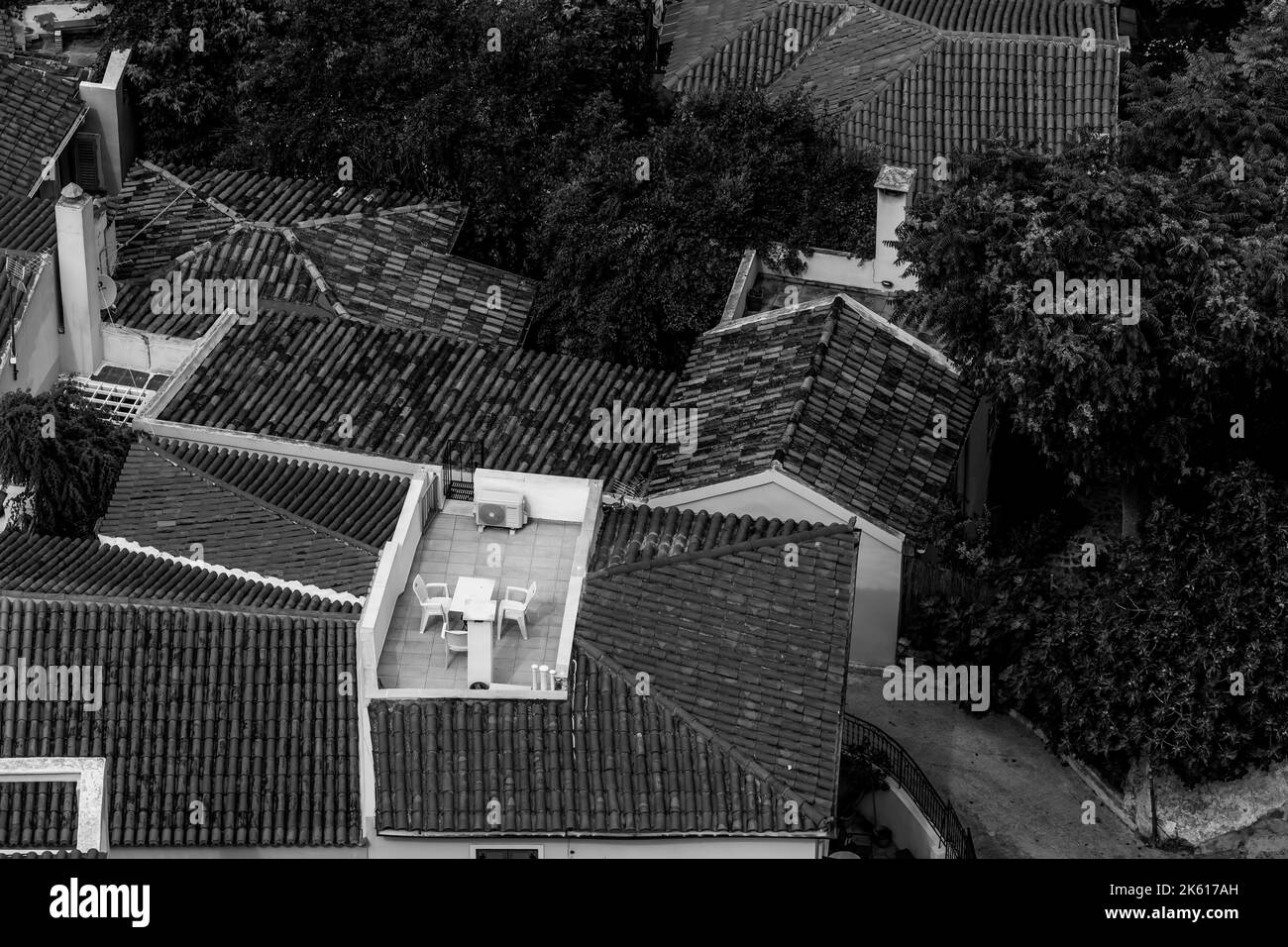 A grayscale shot of residential buildings with vegetation in a ...
