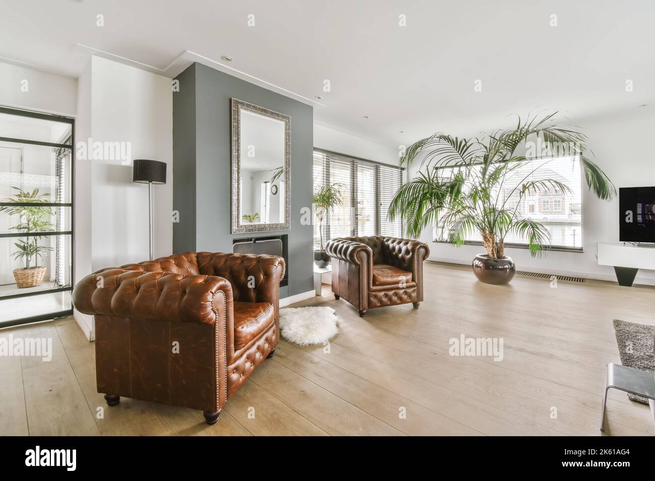 cozy modern living room with armchairs and plants Stock Photo - Alamy