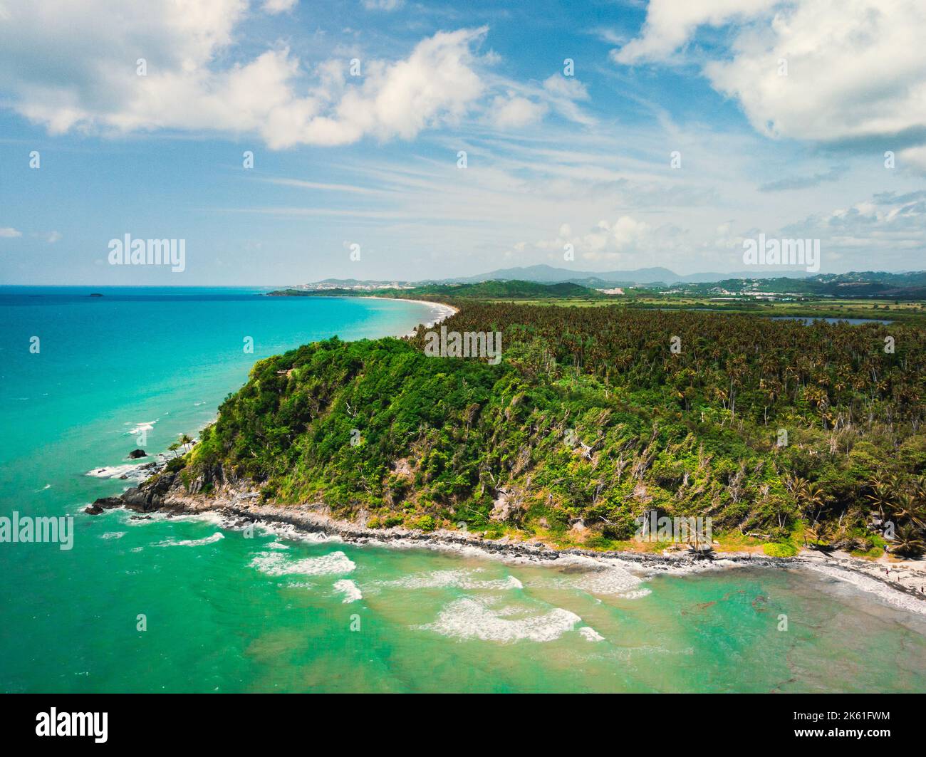 hahahahahahahaha I am hiding! - Picture of Humacao, Puerto Rico