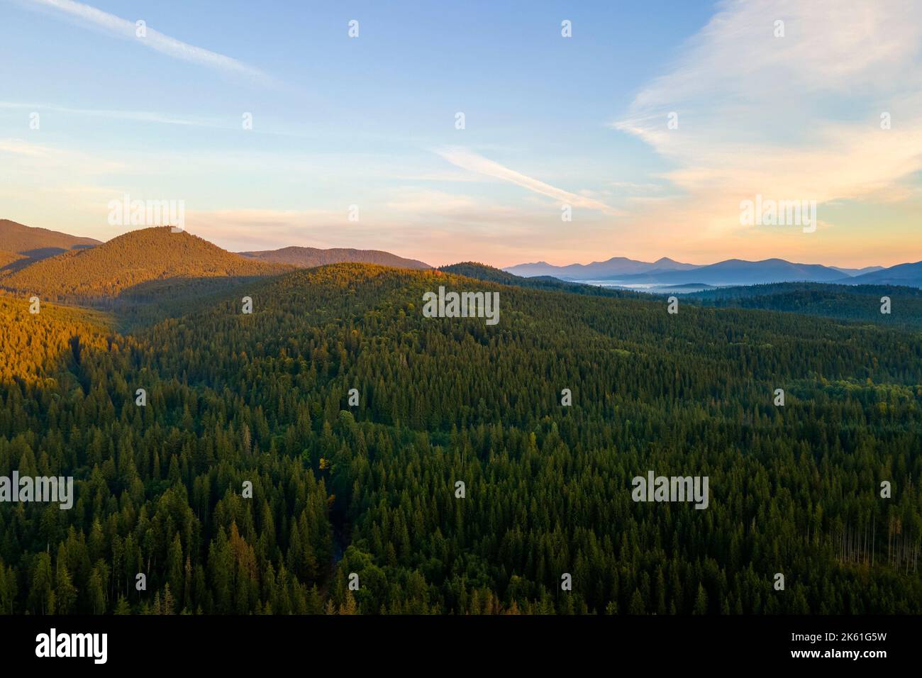 Aerial view of amazing scenery with dark mountain hills covered with forest pine trees at autumn sunrise. Beautiful wild woodland at dawn Stock Photo