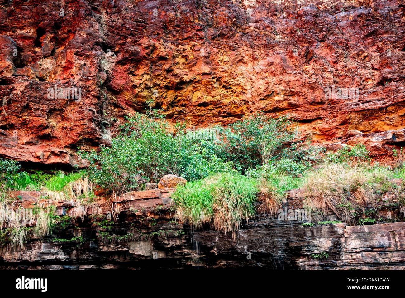 Red cliff and green grass in Karijini's Dales Gorge. Stock Photo