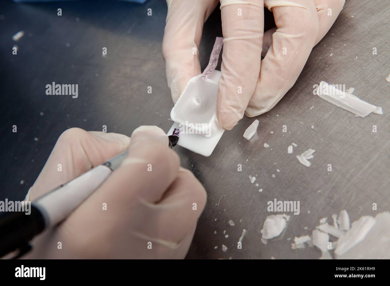Scientist preparing paraffin blocks containing biopsy tissue for sectioning. Pathology laboratory. Cancer diagnosis. Stock Photo