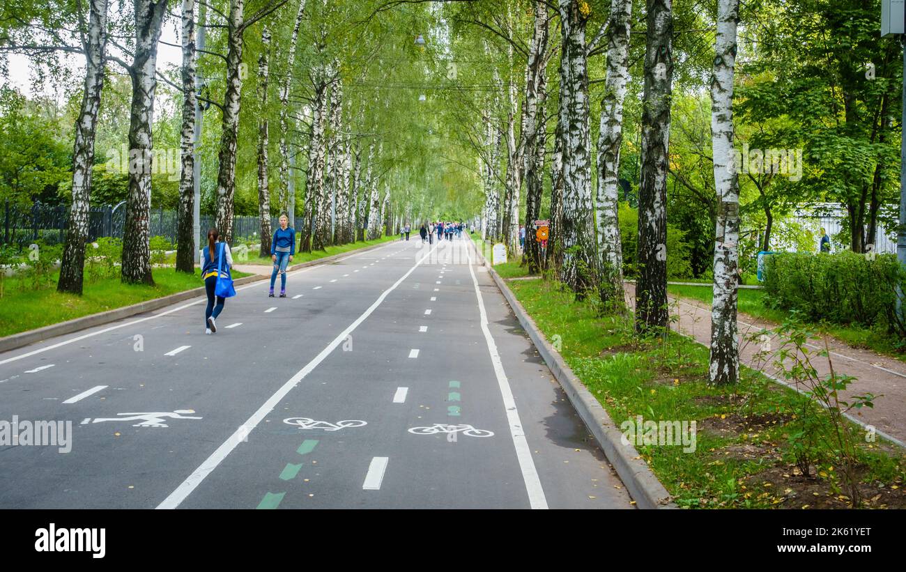 Moscow, Russia, September 10, 2016: Recreational birch-lined alley in a park in Moscow, Russia Stock Photo