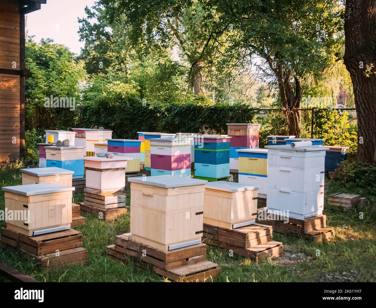 countryside apiary apiculture village natural Stock Photo